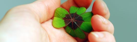 Quelle: Miss X | photocase.com http://www.photocase.de/foto/227740-stock-photo-hand-gruen-blatt-glueck-hoffnung-festhalten Kleeblatt in einer Hand