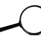 Lupe vor weißem Hintergrund