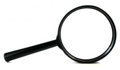 Lupe vor weißem Hintergrund